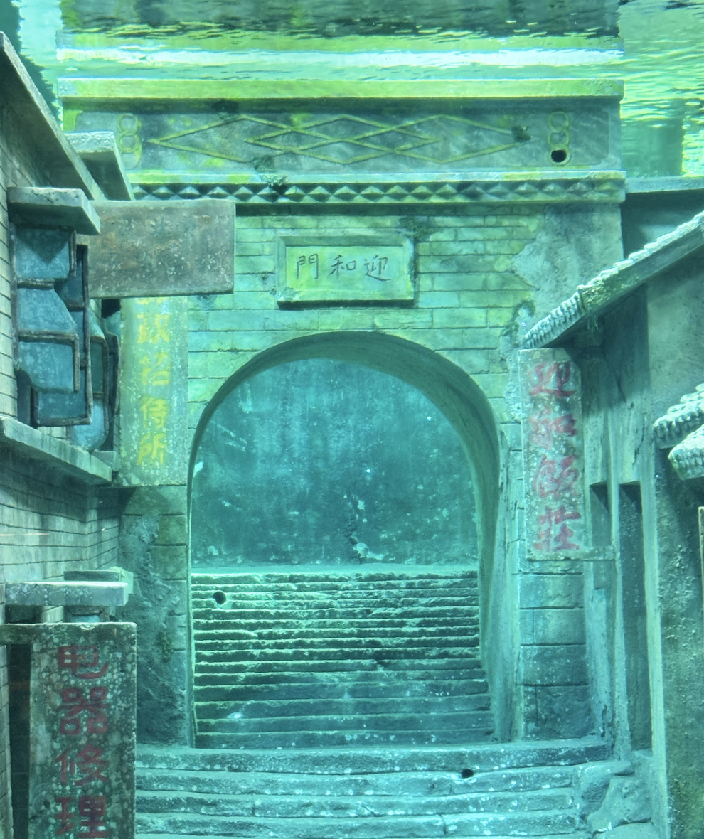 image-1785080804031